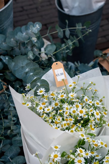A bouquet of fresh white daisies with yellow centers, arranged in white wrapping paper. The daisies have slender green stems and tiny white petals, creating a bright and cheerful floral display. Behin